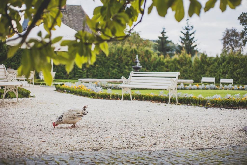 Aparthotel Schloss Braunau