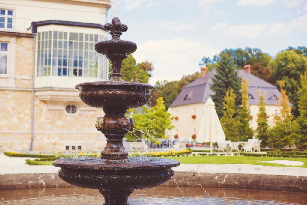 Palac Brunow - Wellness & Апарт-готель