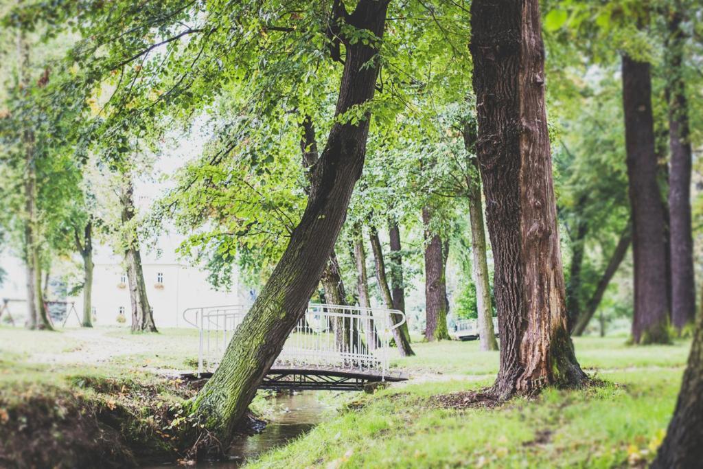 Апарт-готель Palac Brunow - Wellness &